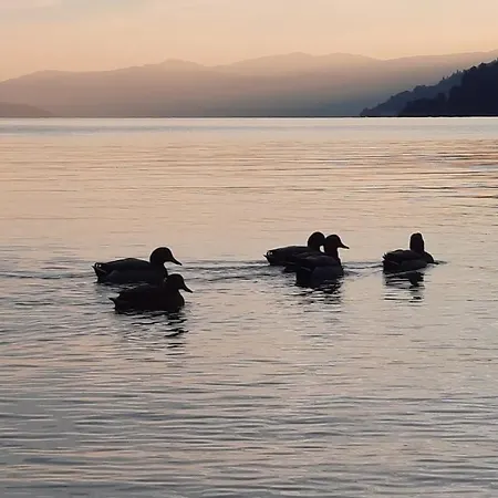 Appartamento 200 Passi